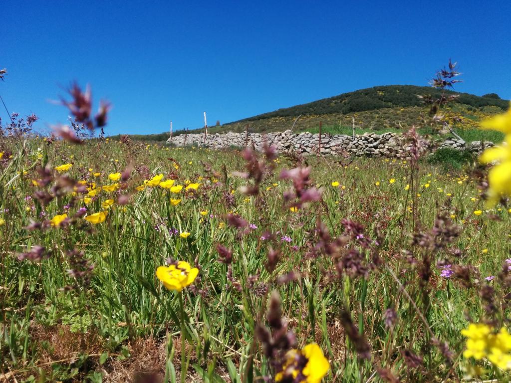 Готель Hostal Refugio De Gredos Наварредонда-де-Ґредос Екстер'єр фото