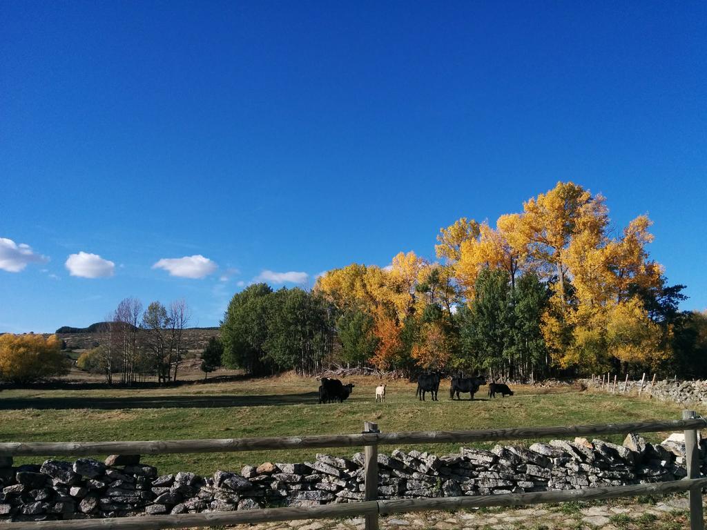 Готель Hostal Refugio De Gredos Наварредонда-де-Ґредос Екстер'єр фото